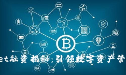 TokenPocket融资揭秘：引领数字资产管理的新潮流