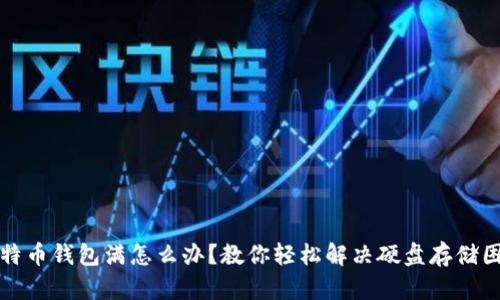 比特币钱包满怎么办？教你轻松解决硬盘存储困扰