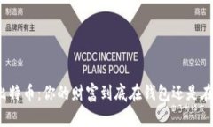 探秘比特币：你的财富到底在钱包还是在地址？