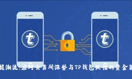 掌握潮流：应对交易所涨势与TP钱包跌幅的资金策略