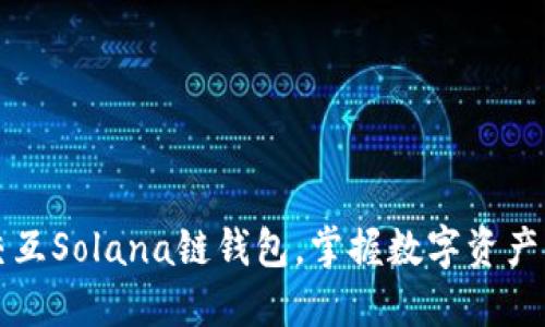 如何高效交互Solana链钱包，掌握数字资产管理的未来