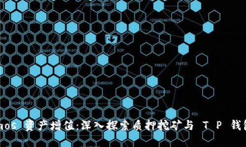 让你的 Cosmos 资产增值：深入探索质押挖矿与 T P 钱包的完美结合