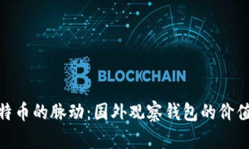 追踪比特币的脉动：国外观察钱包的价值与风险