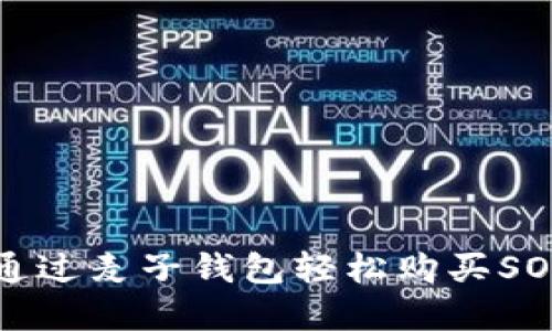 如何通过麦子钱包轻松购买SOL域名