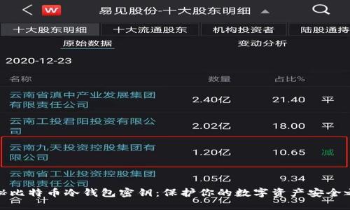 揭秘比特币冷钱包密钥：保护你的数字资产安全之道