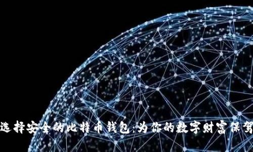 如何选择安全的比特币钱包：为你的数字财富保驾护航