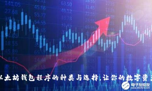深入探讨以太坊钱包程序的种类与选择，让你的数字资产安全无忧
