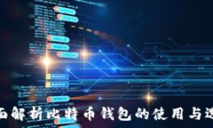   全面解析比特币钱包的使用与选择
