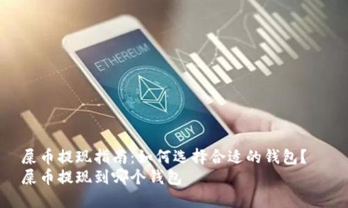 屎币提现指南：如何选择合适的钱包？  
屎币提现到哪个钱包