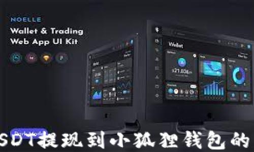 
如何将USDT提现到小狐狸钱包的详细指南