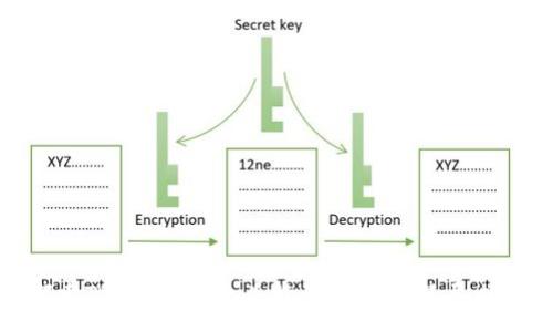 :
探索TP钱包：兔子头特性缺失的深层内涵