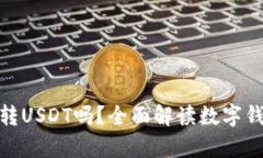 夸克钱包地址可以转USDT吗？全面解读数字钱包的