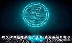 探索TP钱包中的资产流失：原因与解决方案