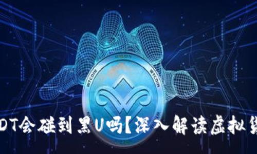 :
钱包购买USDT会碰到黑U吗？深入解读虚拟货币的安全性