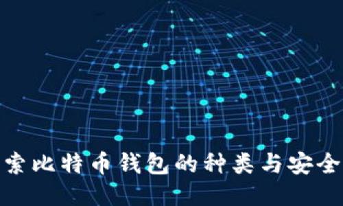 探索比特币钱包的种类与安全性