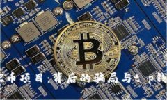 揭秘FIZZ币项目：背后的骗局与t p钱包的风险