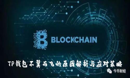 TP钱包不翼而飞的原因解析与应对策略