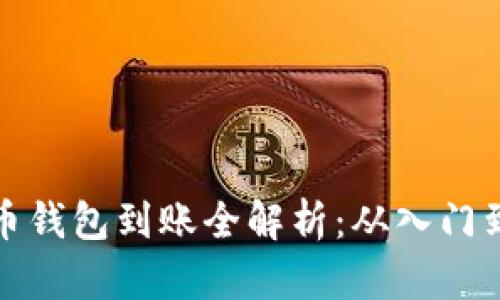比特币钱包到账全解析:从入门到进阶