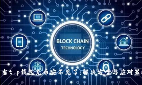 : 当t p钱包充币安不见了：解决方案与应对策略