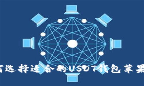 如何选择适合的USDT钱包苹果版？