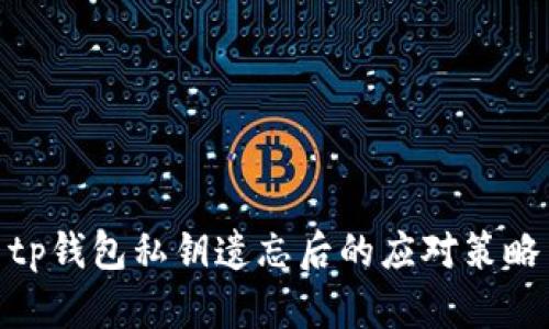 tp钱包私钥遗忘后的应对策略