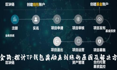 金金狗：探讨TP钱包奖励未到账的原因及解决方案