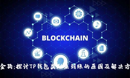 金金狗：探讨TP钱包奖励未到账的原因及解决方案