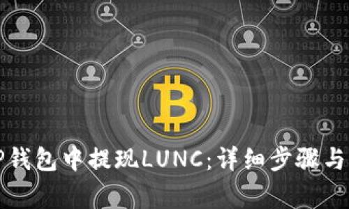 如何在TP钱包中提现LUNC：详细步骤与注意事项