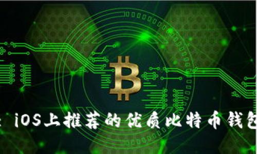 : iOS上推荐的优质比特币钱包