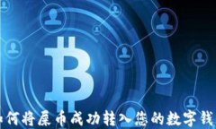 如何将屎币成功转入您的数字钱包