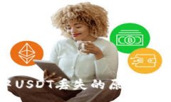 :TP钱包中USDT丢失的原因与解决办法