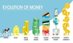 小金库USDT钱包下载：安全便捷的数字货币存储解