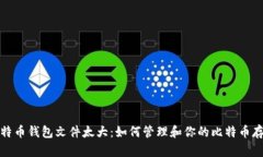 比特币钱包文件太大：如何管理和你的比特币存